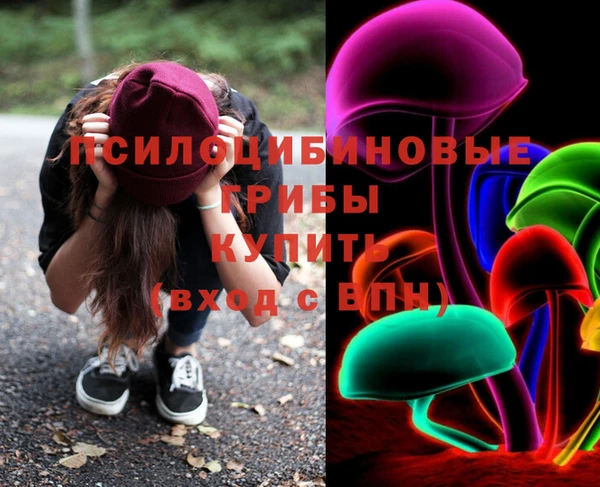 герыч Протвино