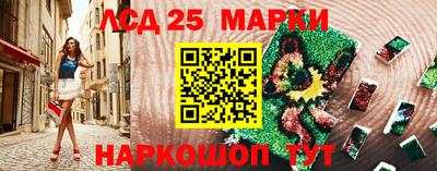 PSILOCYBIN Гатчина