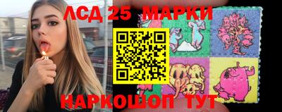 PSILOCYBIN Гатчина