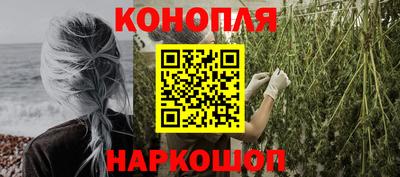 PSILOCYBIN Гатчина