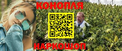 PSILOCYBIN Гатчина