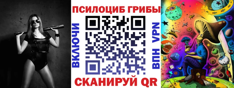 Галлюциногенные грибы Psilocybe  Александров 