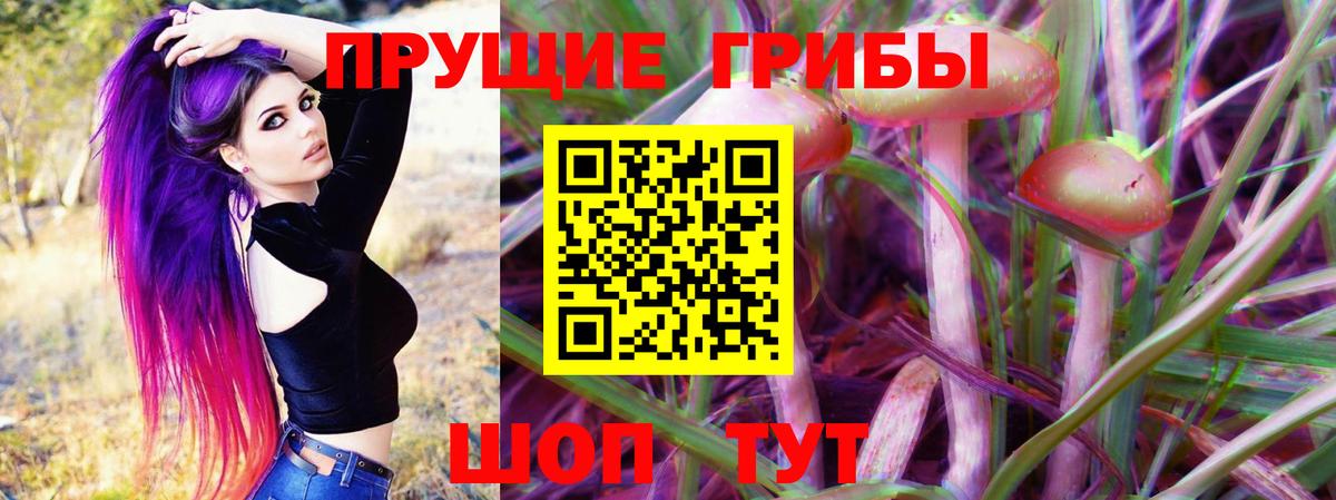 Псилоцибиновые грибы Psilocybe  наркота  Александров  Вход с VPN 